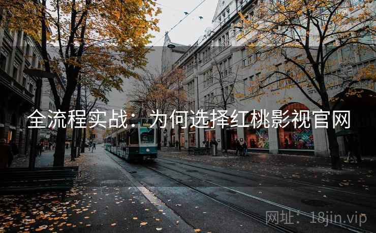 全流程实战：为何选择红桃影视官网