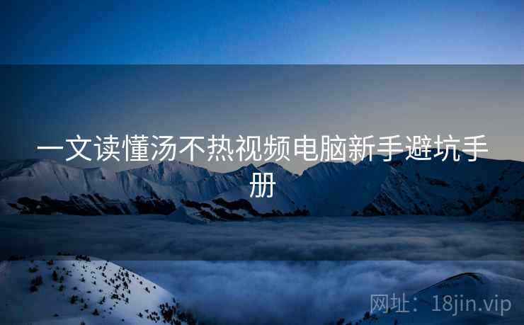 一文读懂汤不热视频电脑新手避坑手册