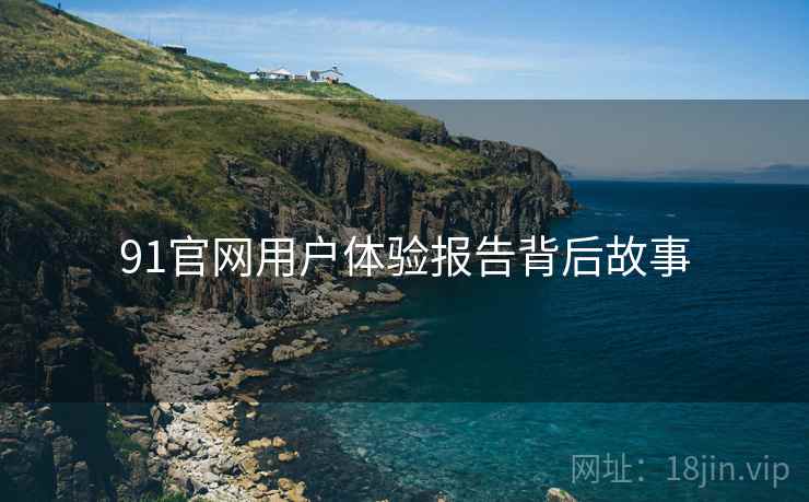 91官网用户体验报告背后故事