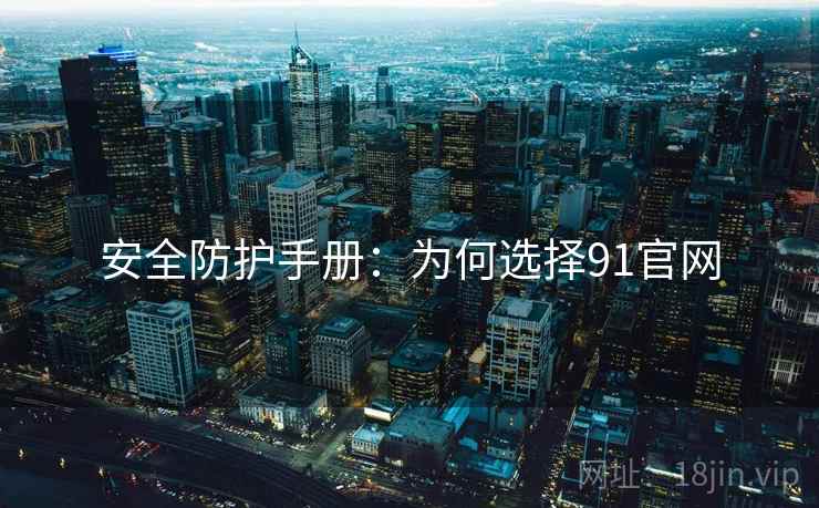 安全防护手册：为何选择91官网