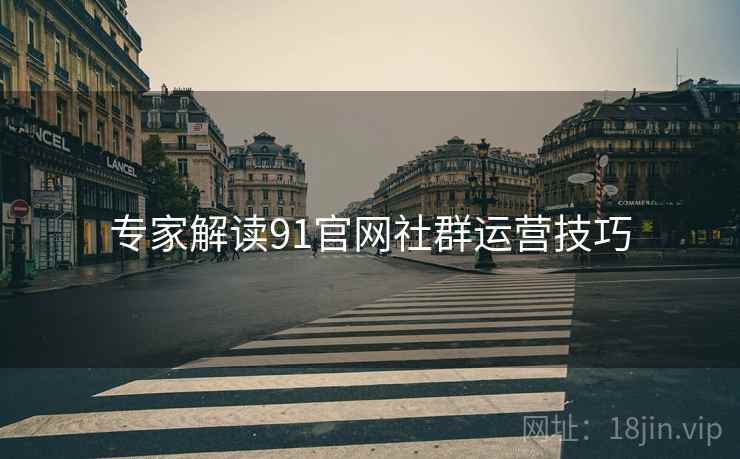 专家解读91官网社群运营技巧