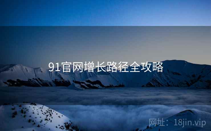 91官网增长路径全攻略