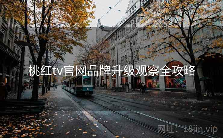 桃红tv官网品牌升级观察全攻略