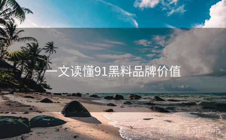 一文读懂91黑料品牌价值