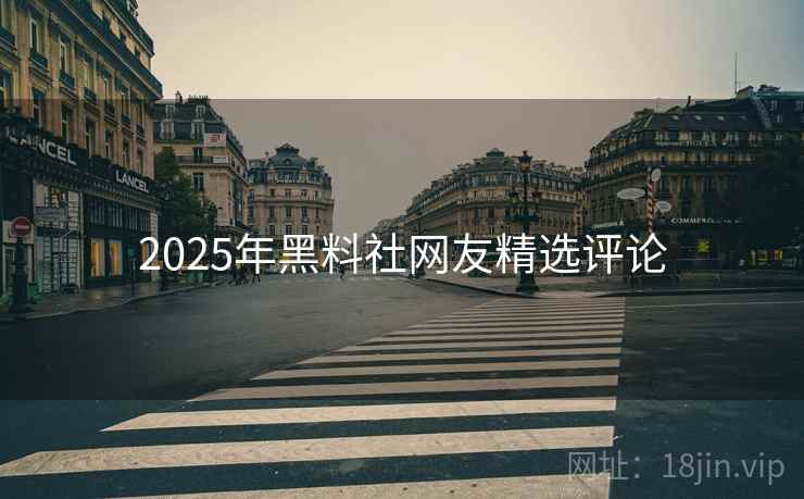 2025年黑料社网友精选评论