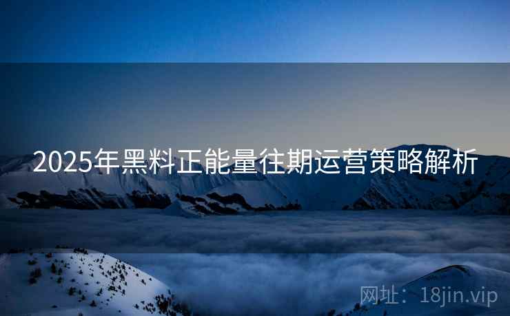 2025年黑料正能量往期运营策略解析