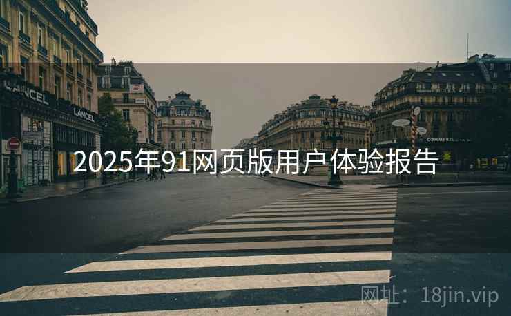 2025年91网页版用户体验报告