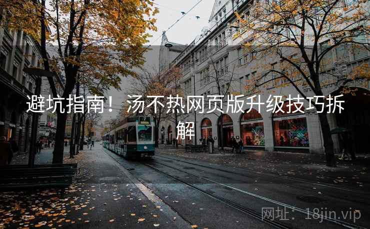 避坑指南！汤不热网页版升级技巧拆解