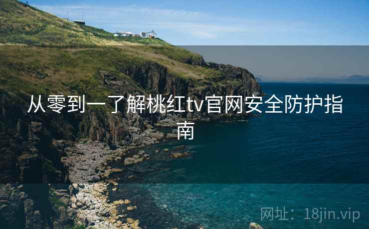 从零到一了解桃红tv官网安全防护指南