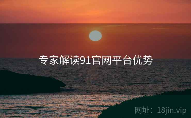 专家解读91官网平台优势
