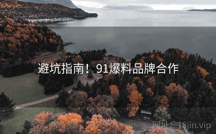 避坑指南！91爆料品牌合作